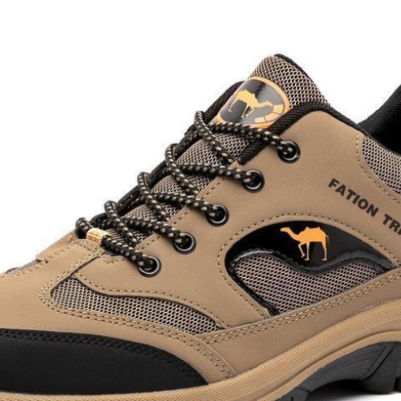 cid:41221338923231